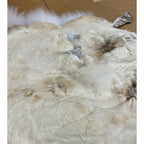 Timber Wolf - 75 Inches