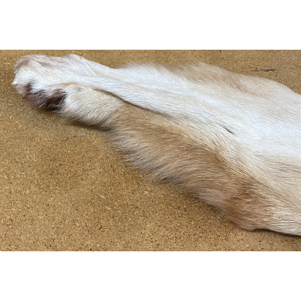 Timber Wolf - 75 Inches