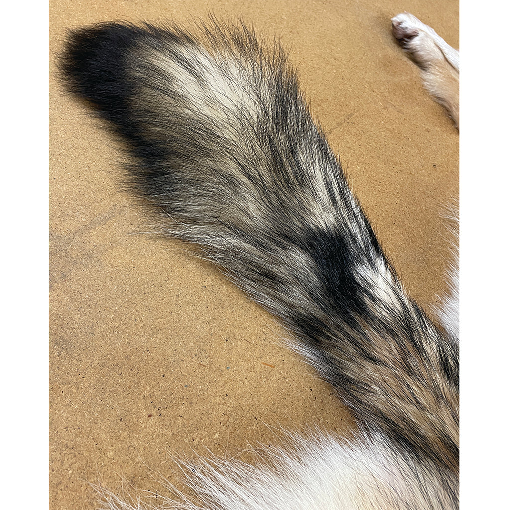 Timber Wolf - 75 Inches