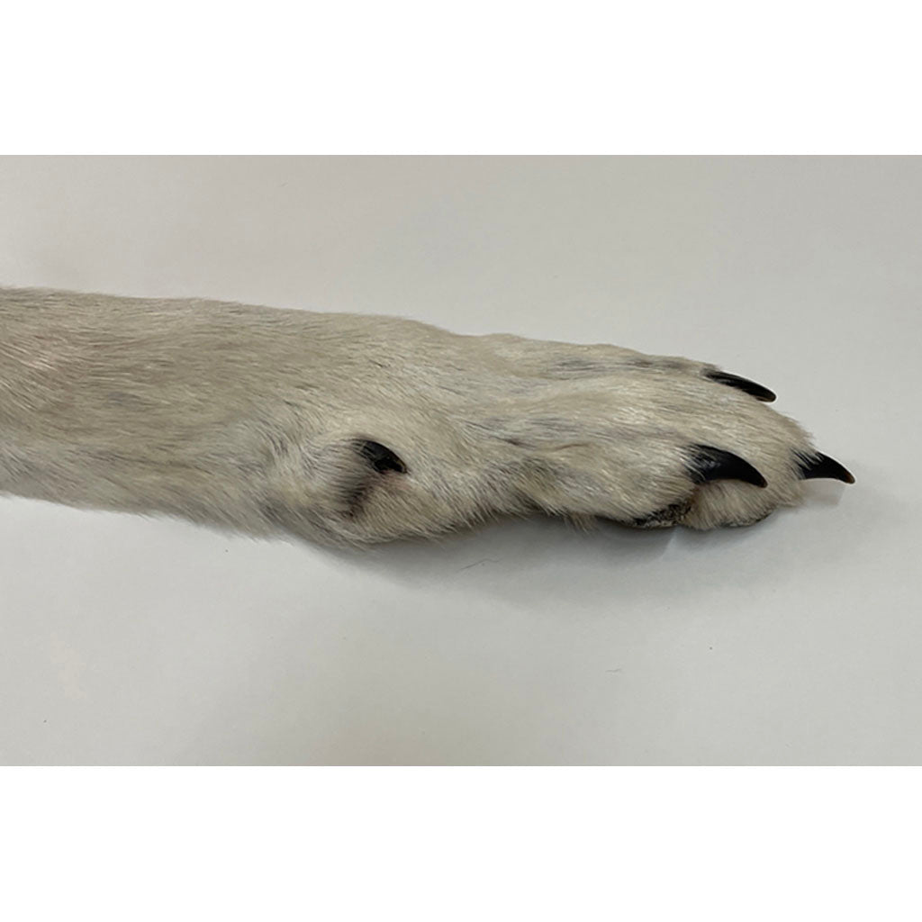 Timberwolf Grey - 75-Inch