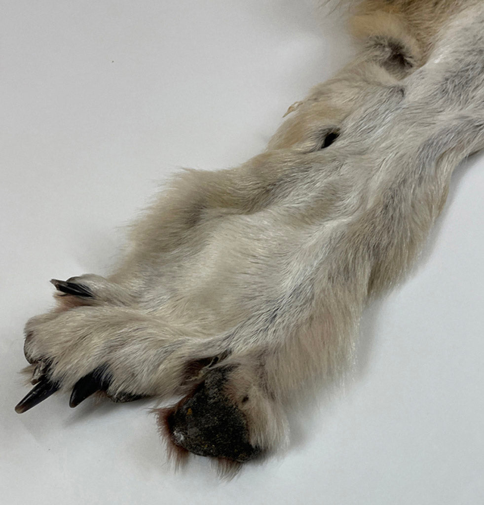 Timberwolf Grey - 75-Inch