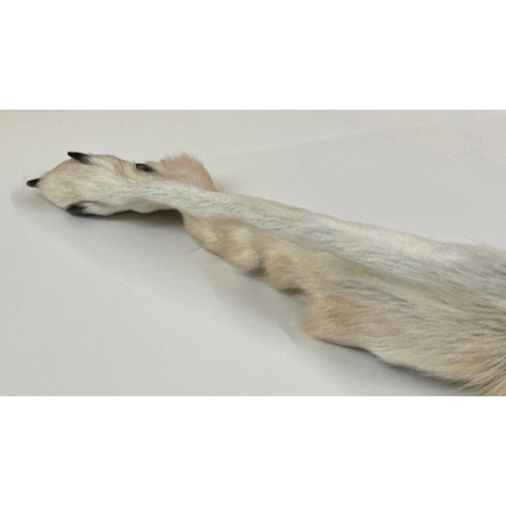 Timberwolf Grey - 75-Inch