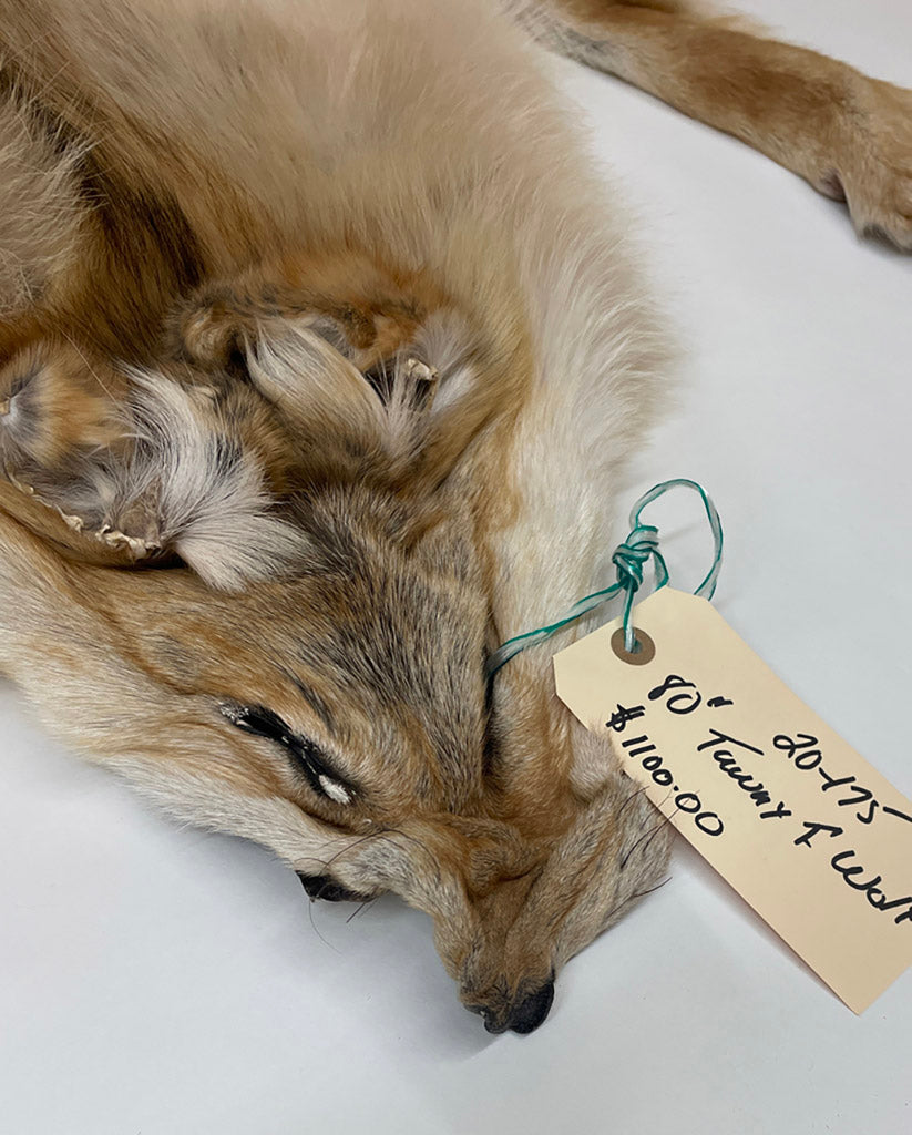 Timberwolf Tawny - 80-Inch