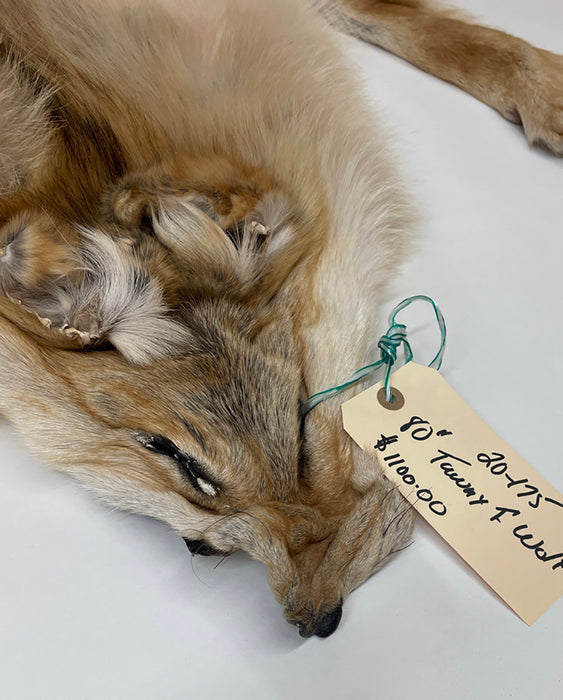 Timberwolf Tawny - 80-Inch