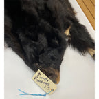 Black Bear 6.7FT For Taxidermy