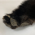 Black Bear 6.7FT For Taxidermy