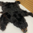 Black Bear 6.8FT For Taxidermy