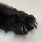 Black Bear 6.8FT For Taxidermy