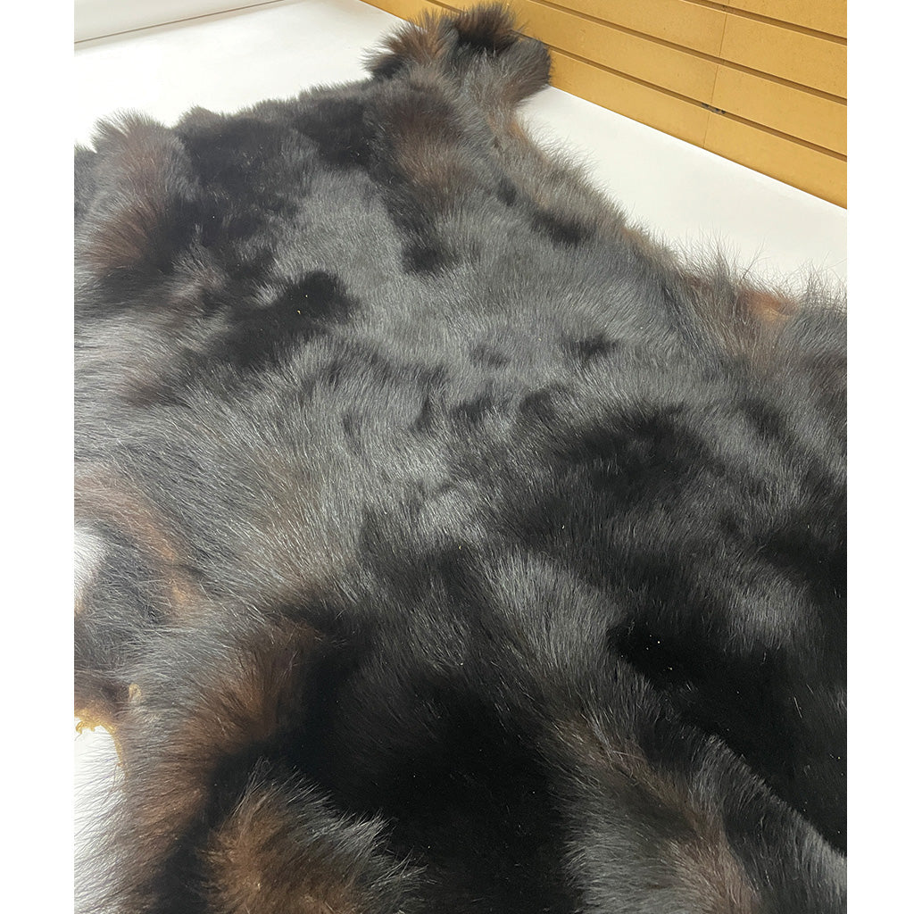 Black Bear 6.8FT For Taxidermy