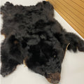 Black Bear 6.7 1/2FT For Taxidermy