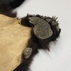 Black Bear 6.7 1/2FT For Taxidermy