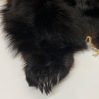 Black Bear 6.7 1/2FT For Taxidermy