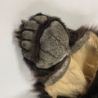 Black Bear 6.7 1/2FT For Taxidermy