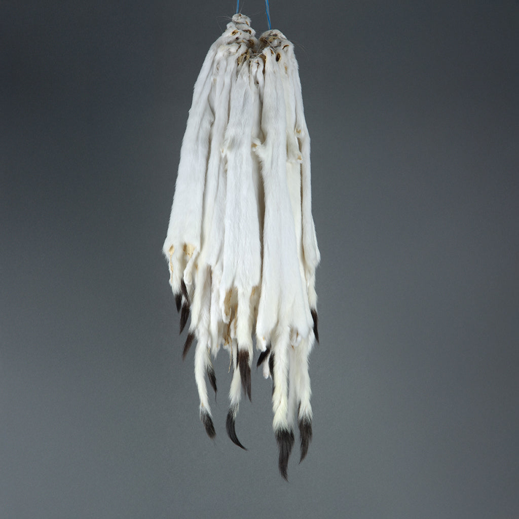 Ermine Skins