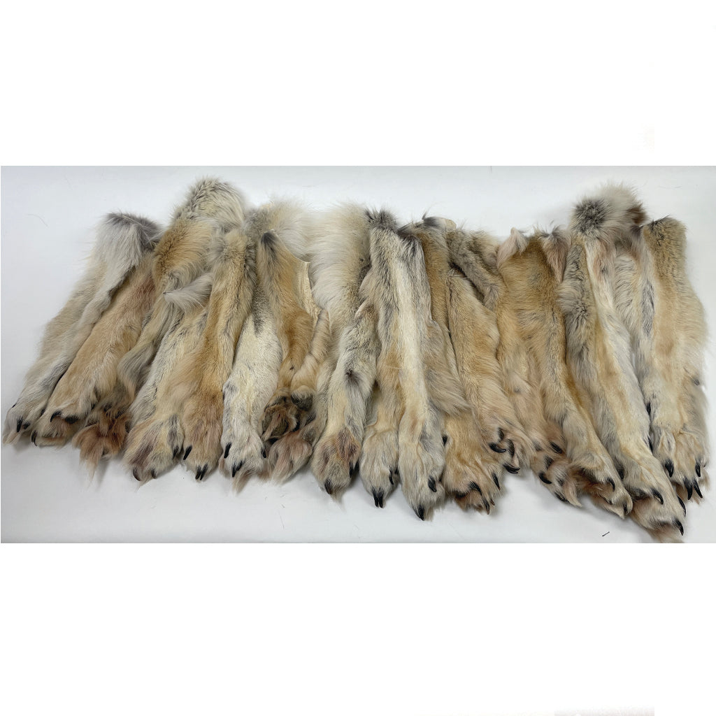 Timberwolf Paws