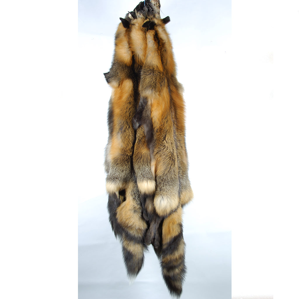 Cross Fox Skin - Large/Extra Large