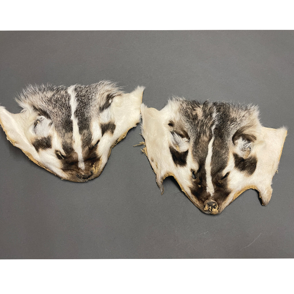 Dressed Fur Faces
