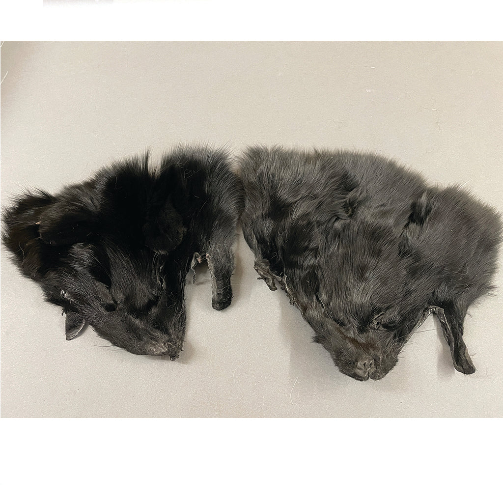 Dressed Fur Faces
