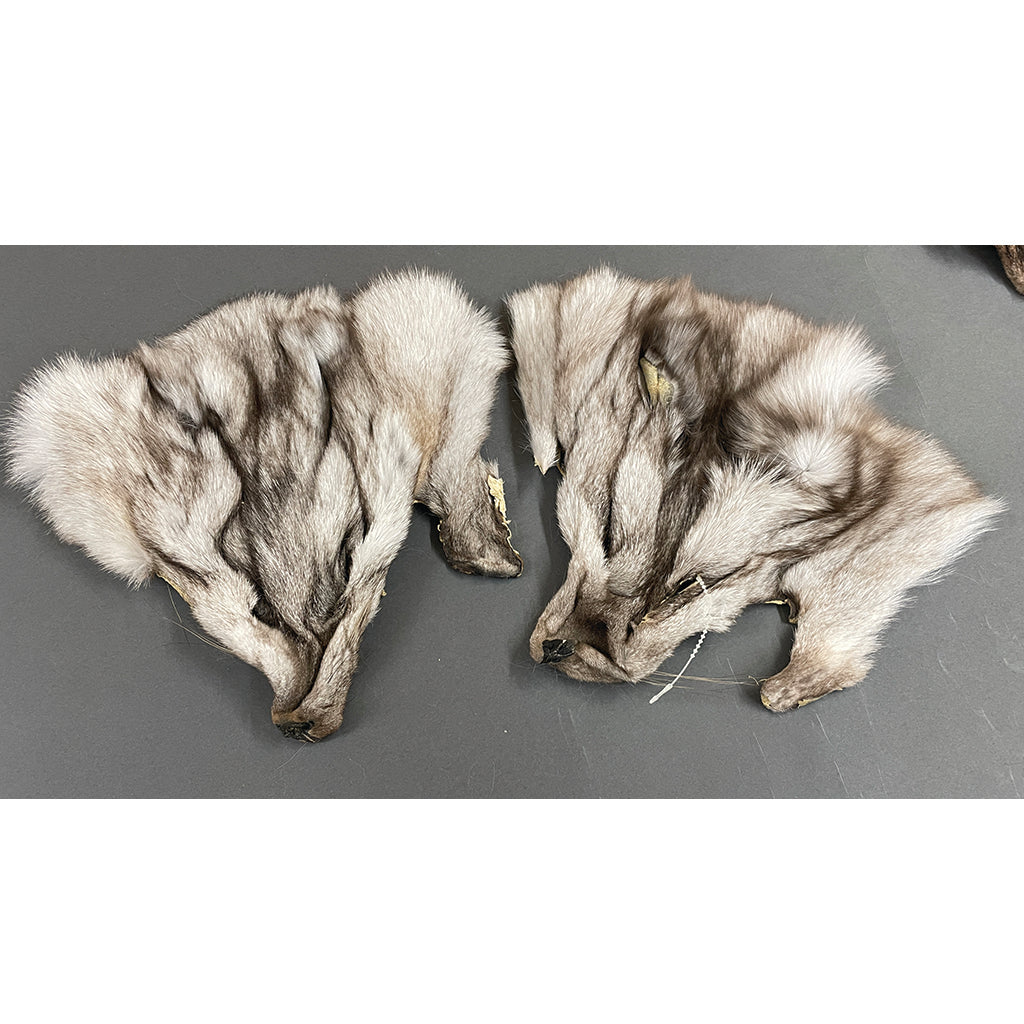 Dressed Fur Faces