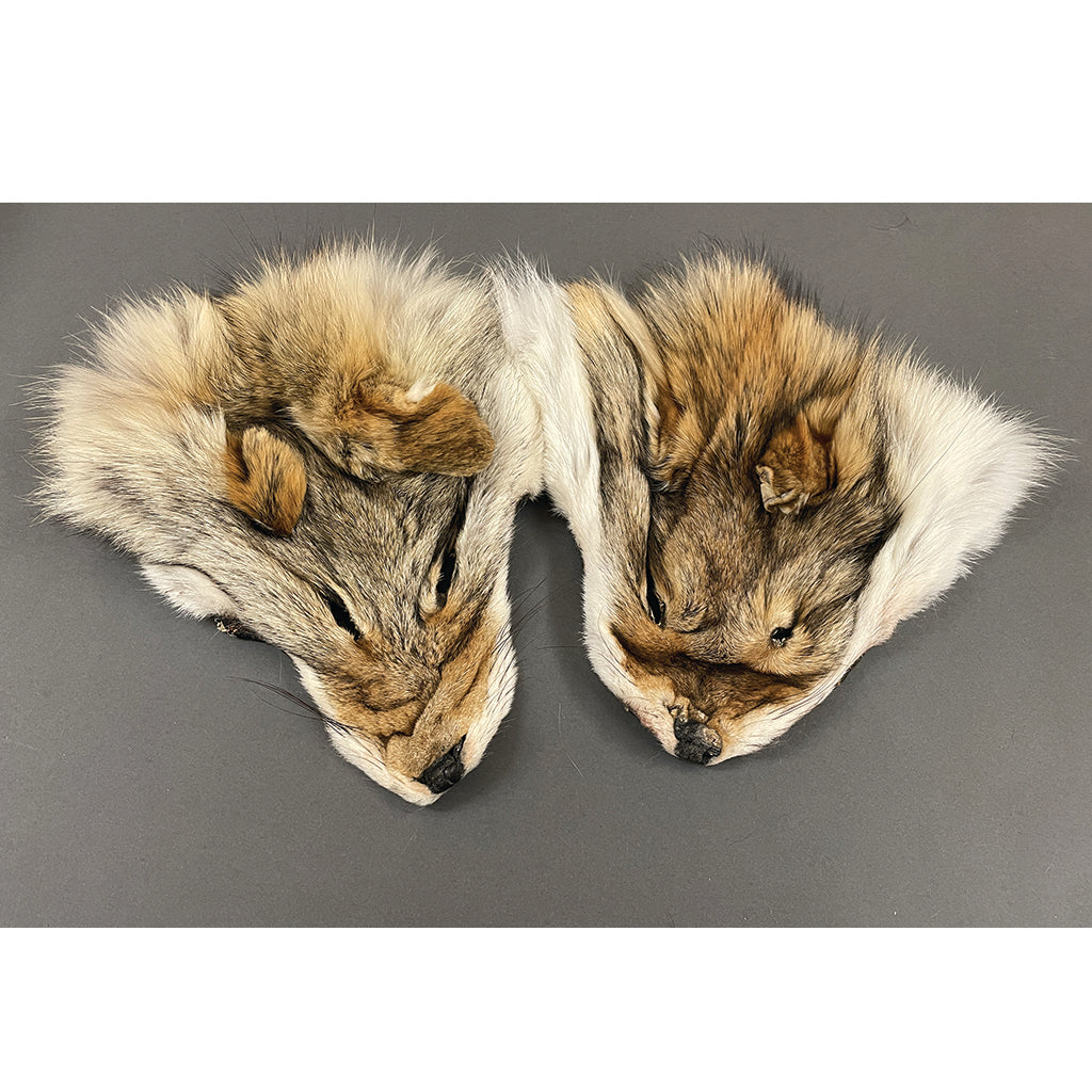 Dressed Fur Faces