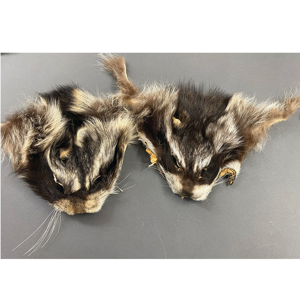 Dressed Fur Faces
