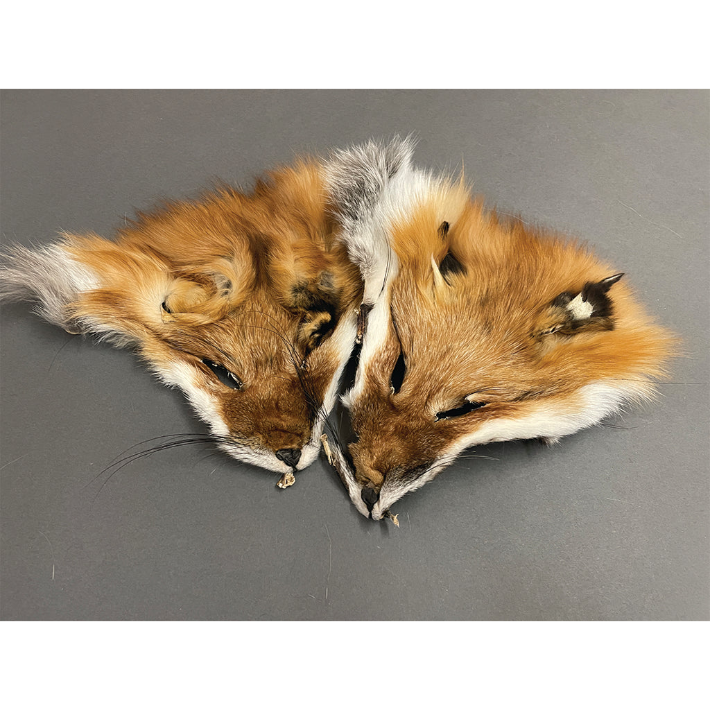 Dressed Fur Faces