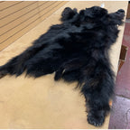 Black Bear Rug 6.5FT For Taxidermy