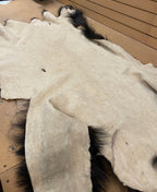 Black Bear Rug 6.5FT For Taxidermy