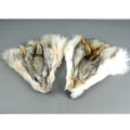 Timberwolf Faces - Tanned