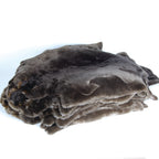 Sheared Beaver
