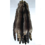 Fisher Raccoon Skins
