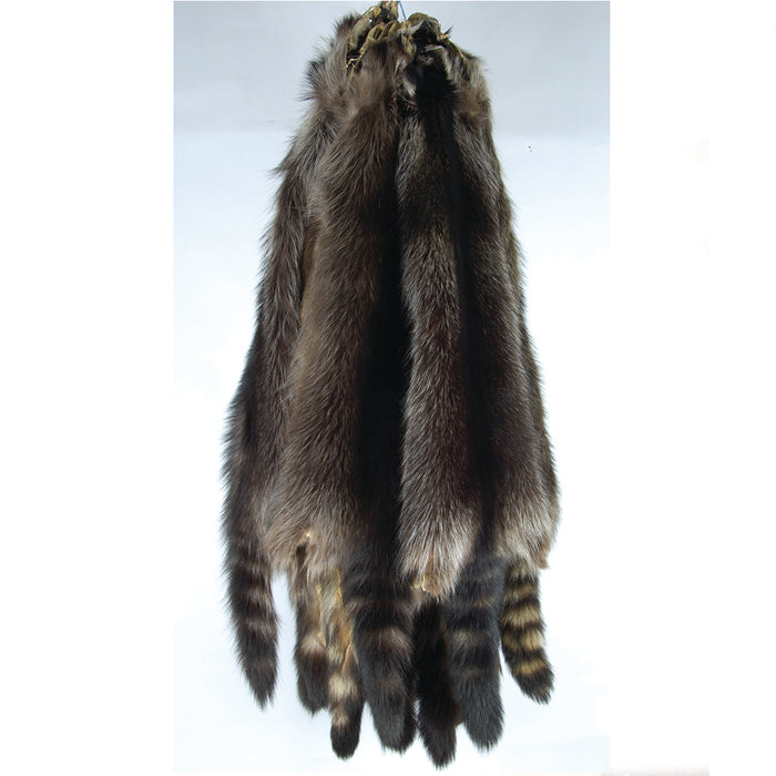 Fisher Raccoon Skins