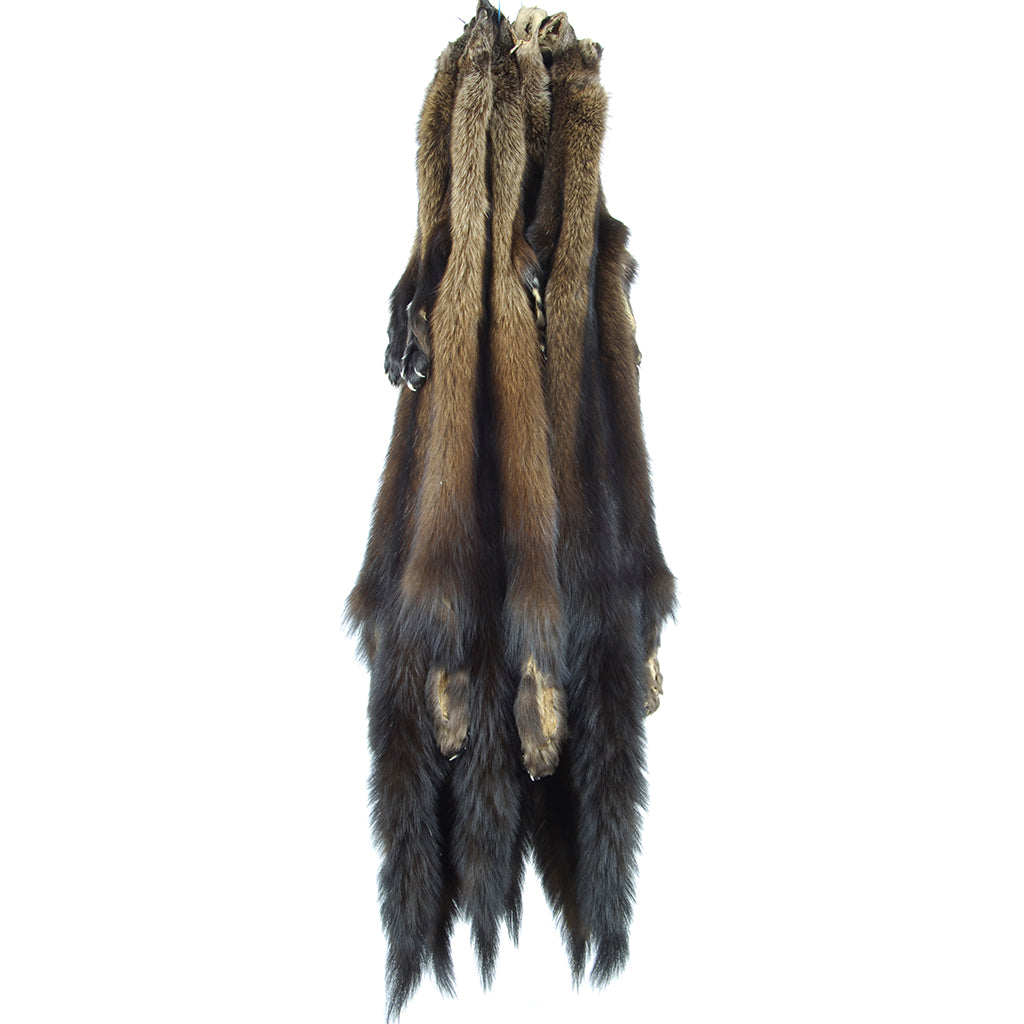 Dressed Fisher Complete - Medium