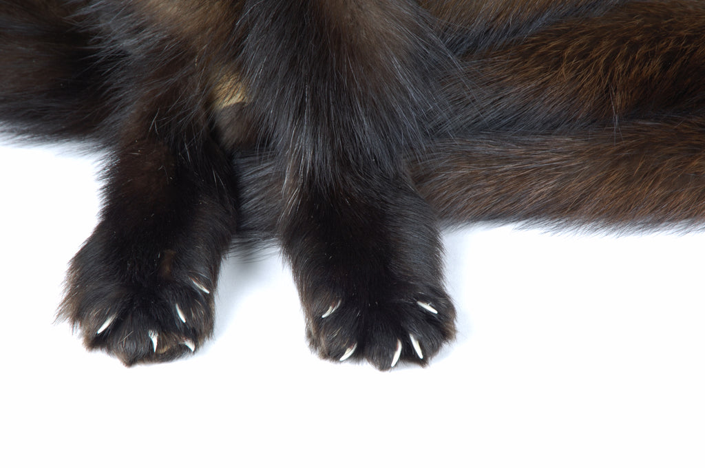fisher fur