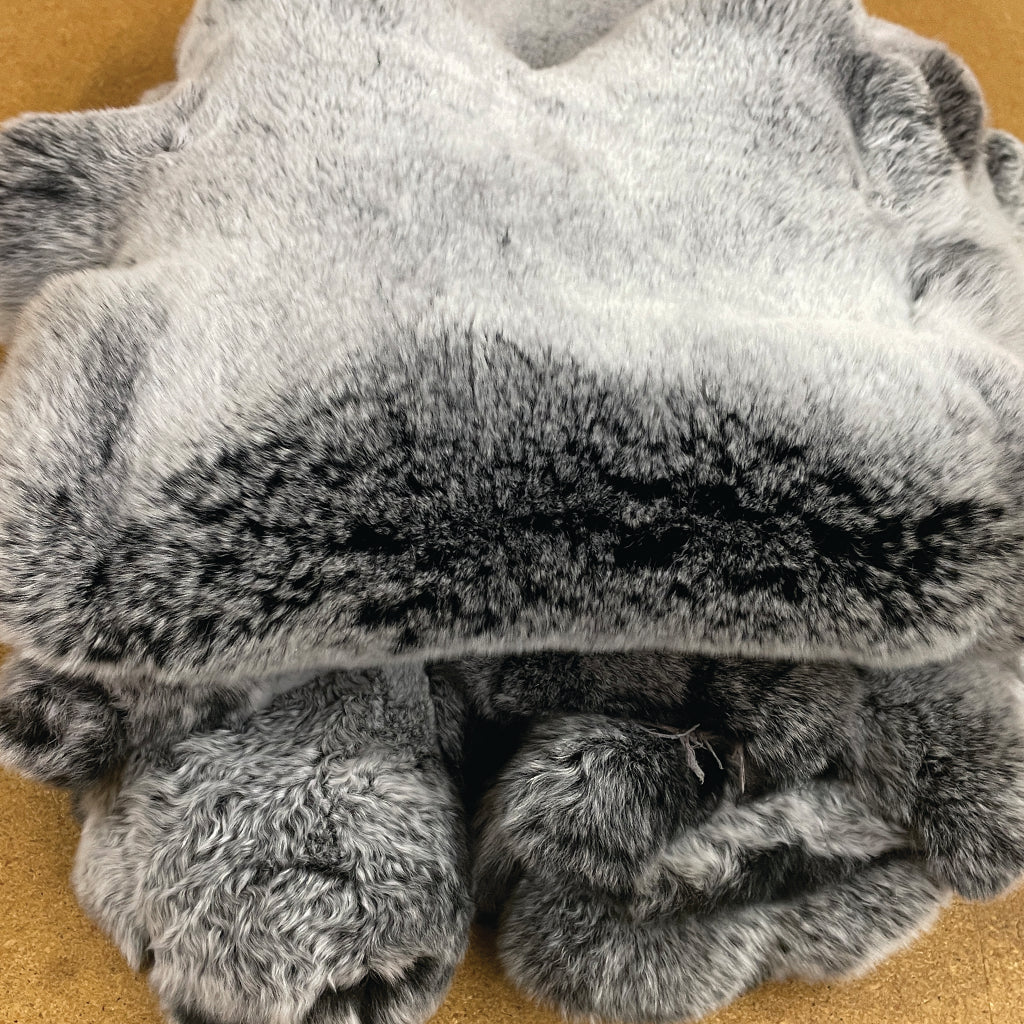 Chinchilla Frosted Tipped Rex Rabbit
