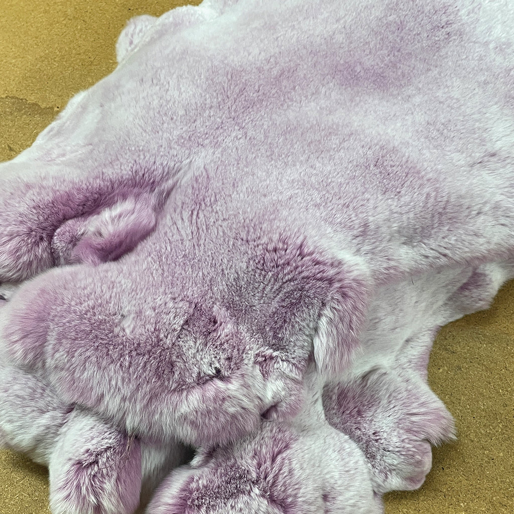 Purple Frosted Tipped Rex Rabbit
