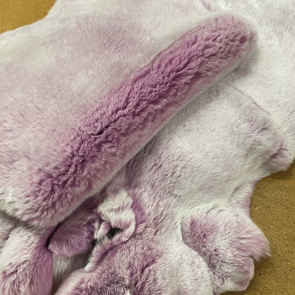 Purple Frosted Tipped Rex Rabbit