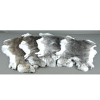 Rex Rabbit Skin - Chinchilla Grey