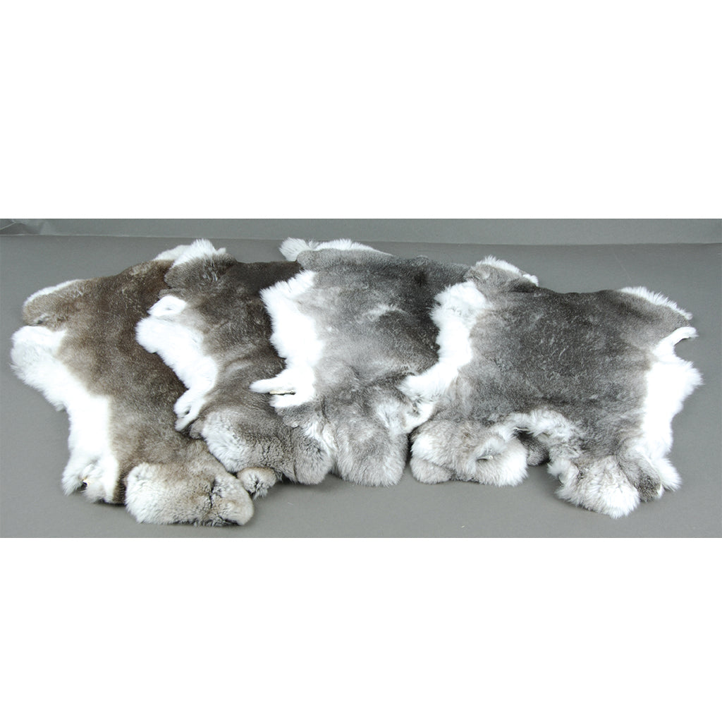 Rex Rabbit Skin - Chinchilla Grey