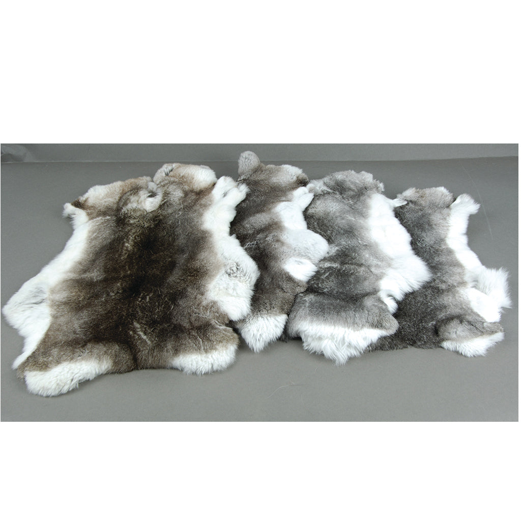 Rex Rabbit Skin - Chinchilla Grey
