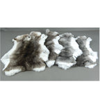 Rex Rabbit Skin - Chinchilla Grey