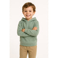 Rabbit Skins Toddler Pullover Hoodie