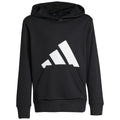 Youth Adidas Essentials Hoodie