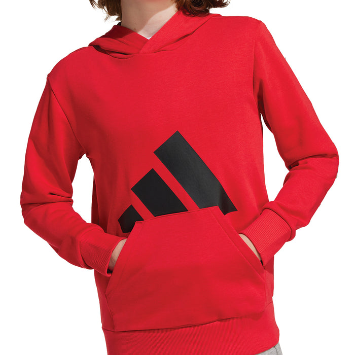 Youth Adidas Essentials Hoodie