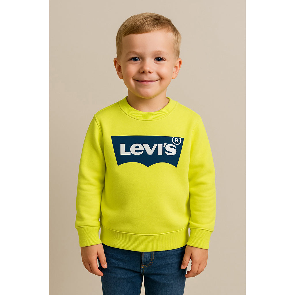 Levi's Youth Batwing Logo Pullover