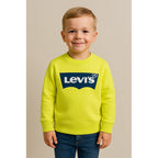 Levi's Youth Batwing Logo Pullover