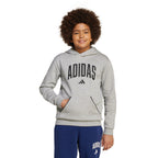 Youth Adidas Essentials Collegiate Typography Hoodie