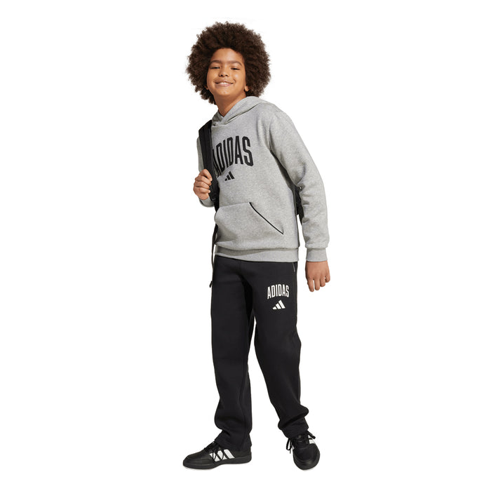 Youth Adidas Essentials Collegiate Typography Hoodie