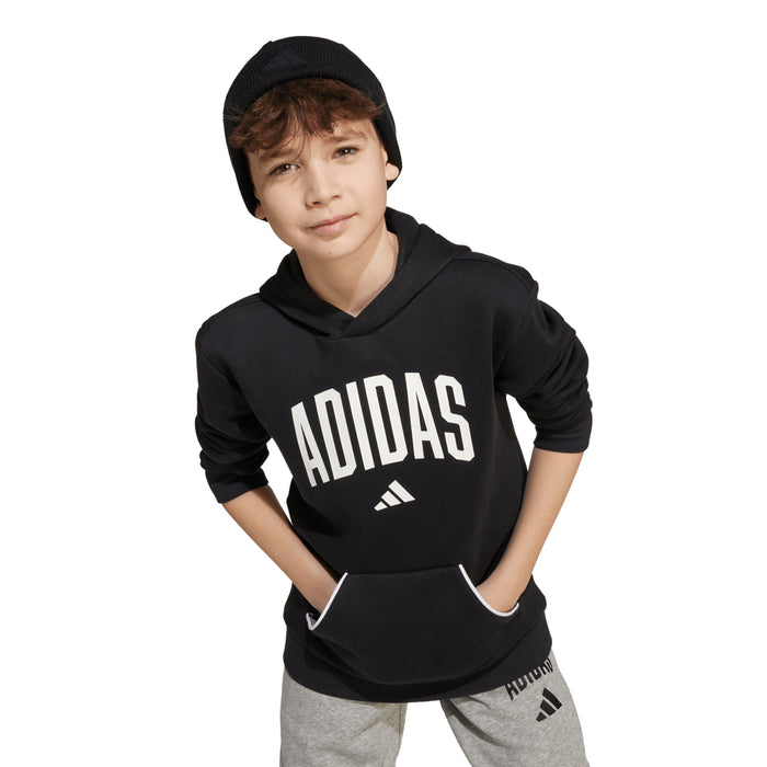 Youth Adidas Essentials Collegiate Typography Hoodie