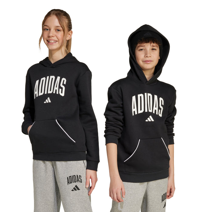 Youth Adidas Essentials Collegiate Typography Hoodie